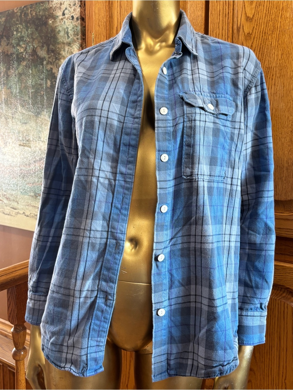 The North Face Blue Plaid Women's Shirt with Subtle Purple Accents